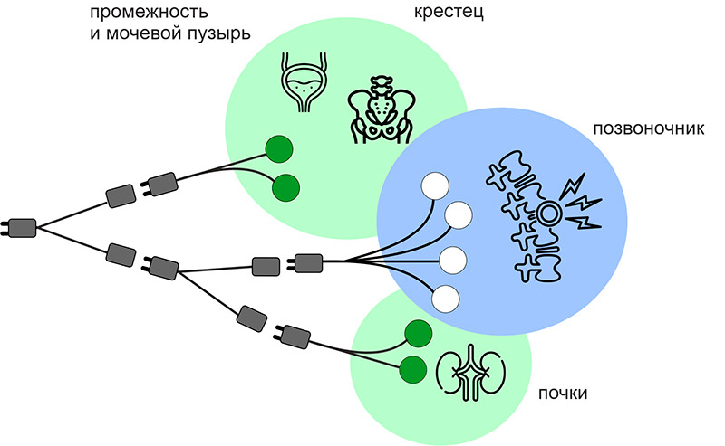 Изображение Витафон